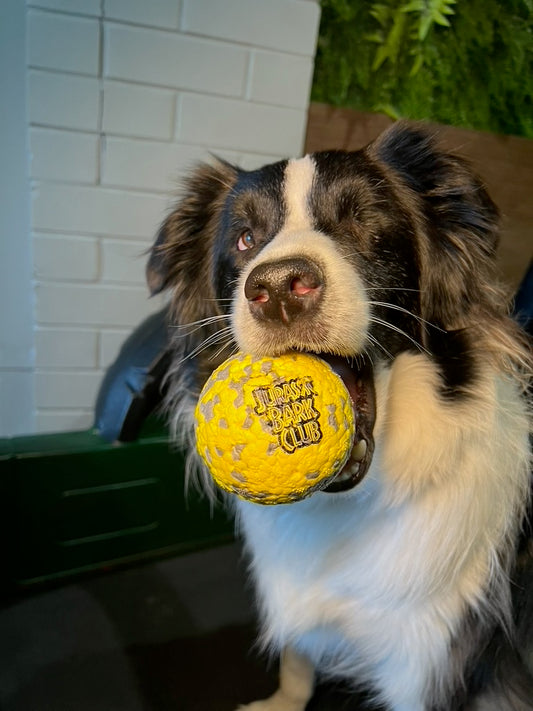 Yellow Foam Ball