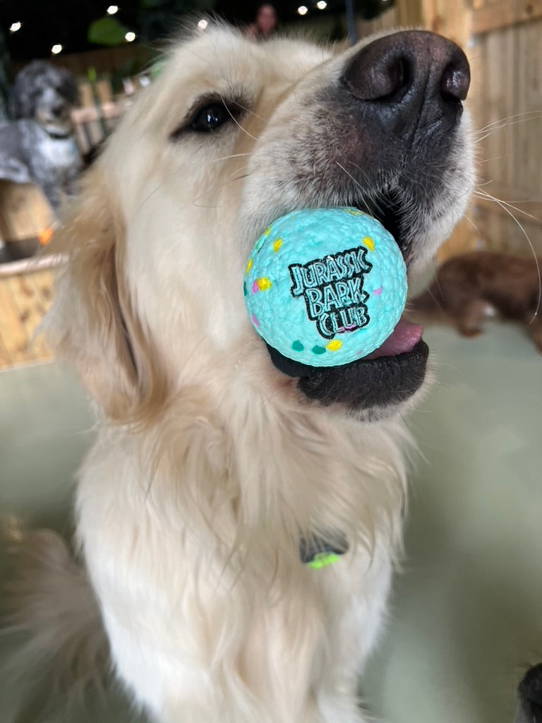 Teal Foam Ball