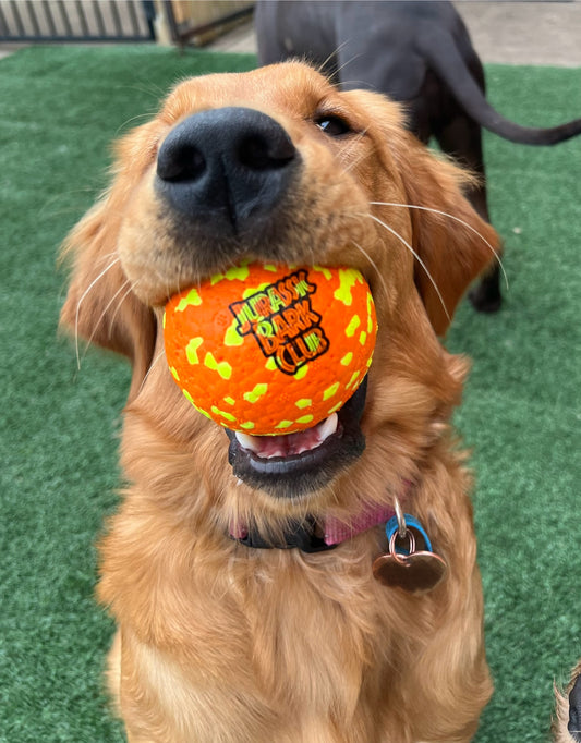 Orange Foam Ball