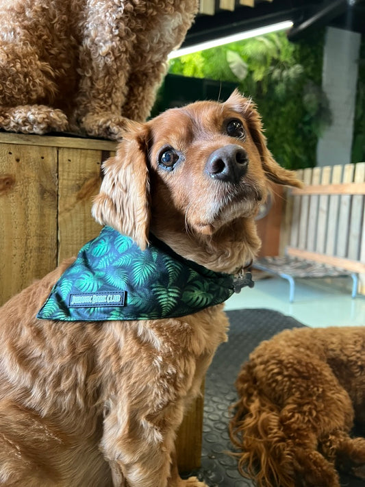 Jungle Bandanna