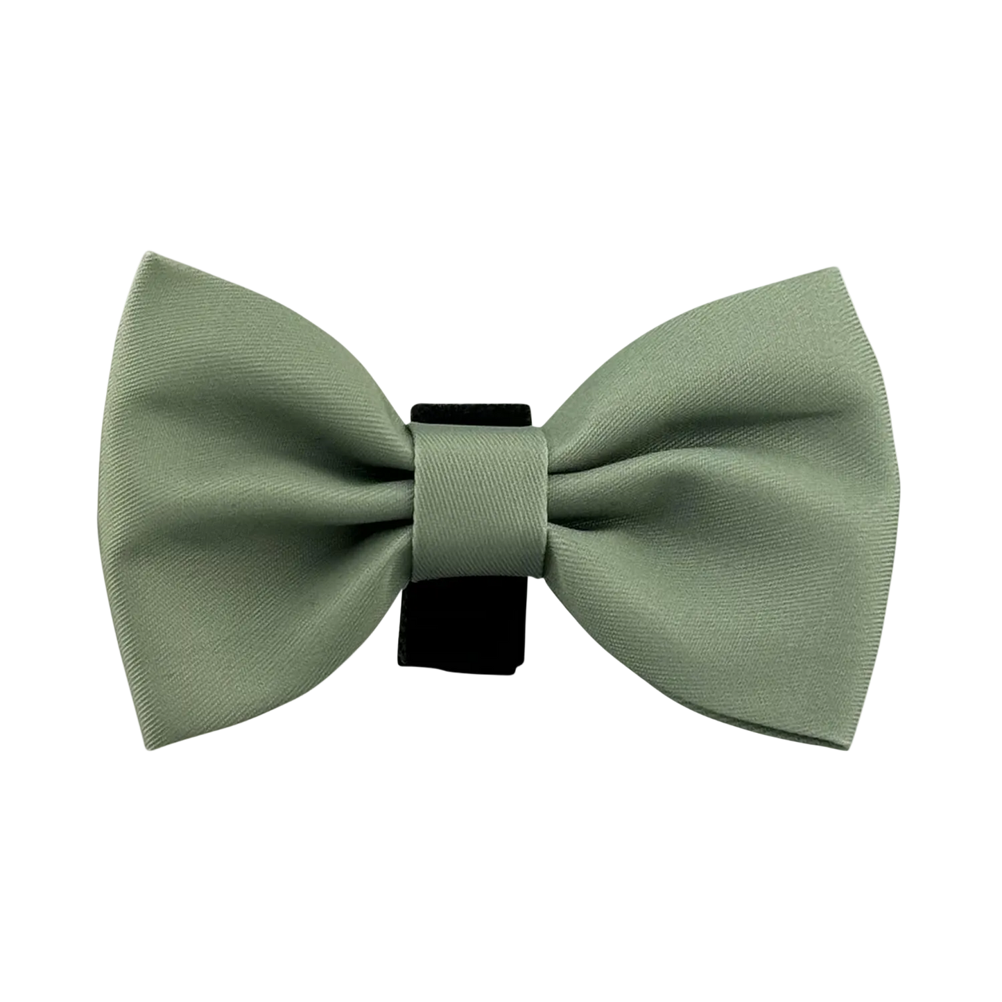 Sage Bowtie