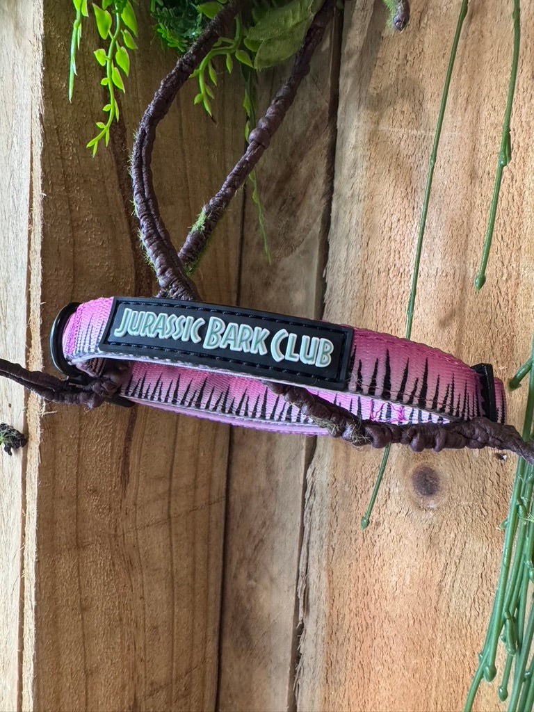Sniffari Pink Collar