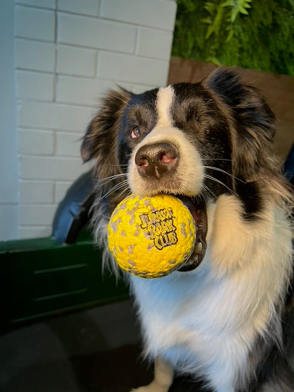 Yellow Foam Ball