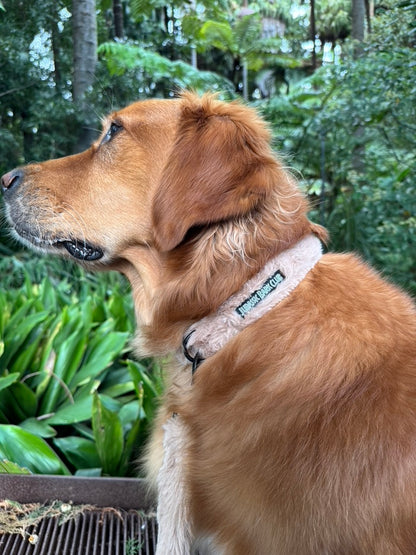 Floof Collar