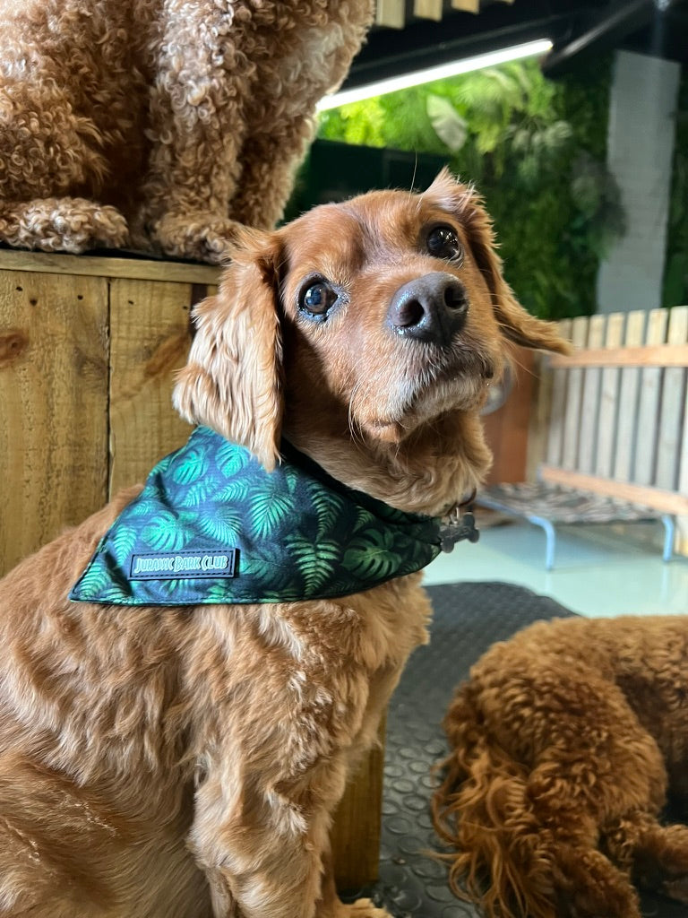 Jungle Bandanna