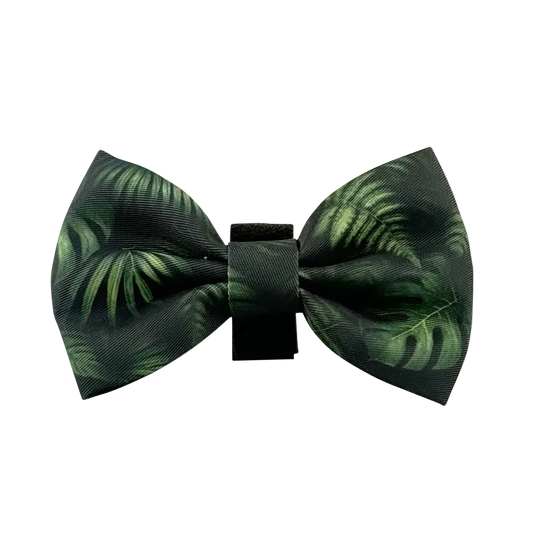 JBC Bowtie: Jungle