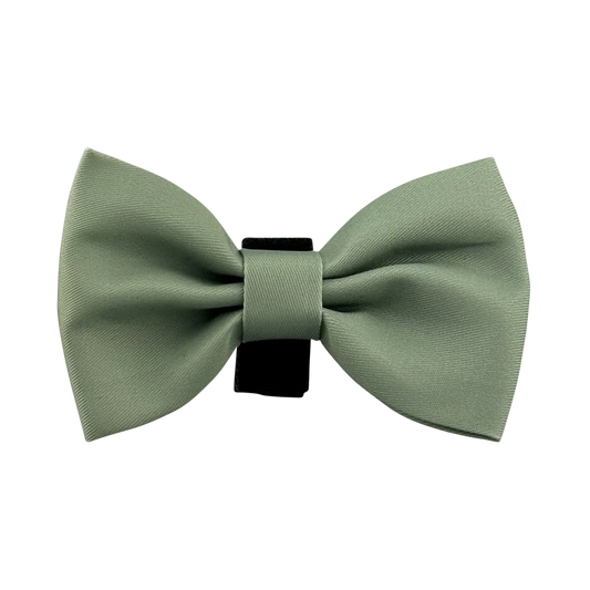 JBC Bowtie: Sage