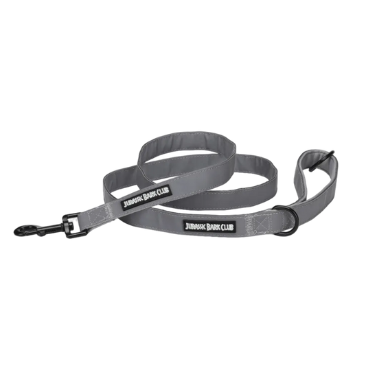 Reflector Lead